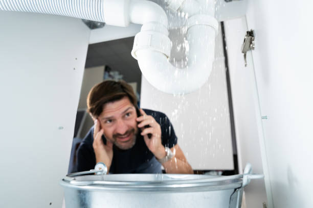 Best Sewer Cleaning Services  in Canfield, OH